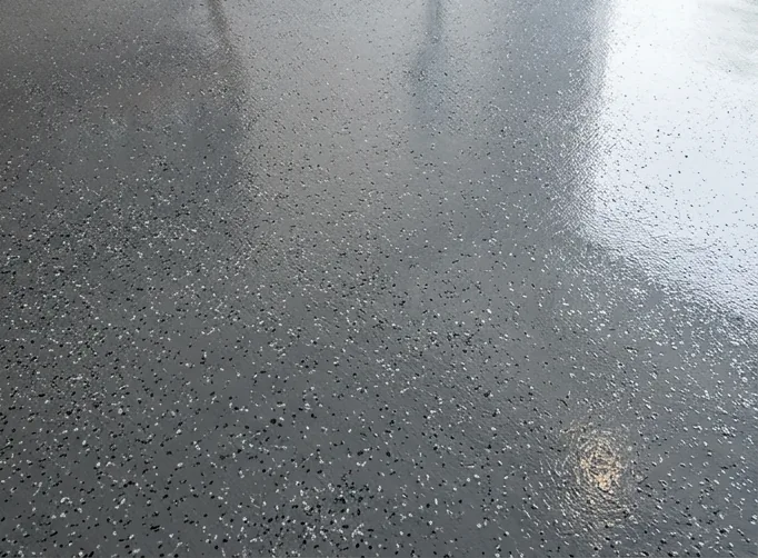 PC Premium Coating showroom-quality epoxy floor after transformation in Omaha